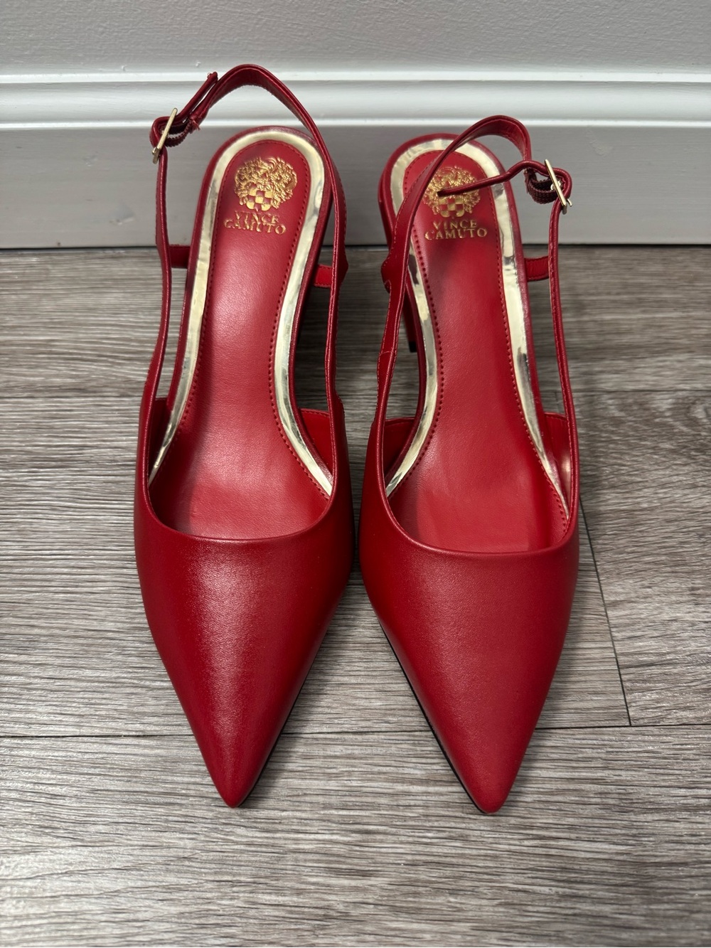 Vince Camuto Scarlet Pointed Slingback Pumps